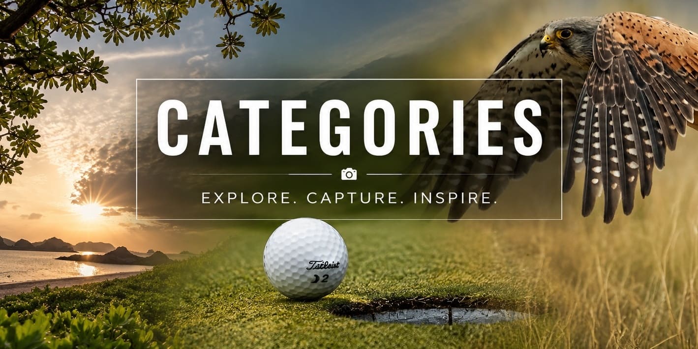Photography categories banner