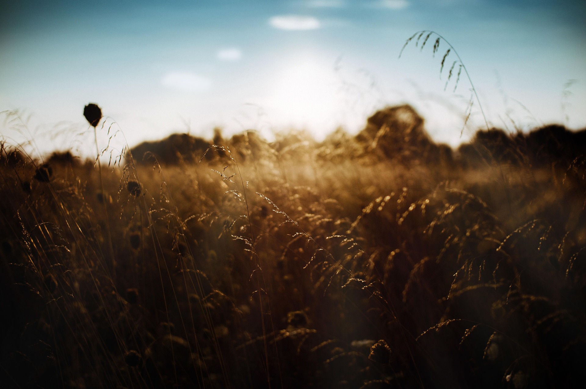 Nature photography submission one